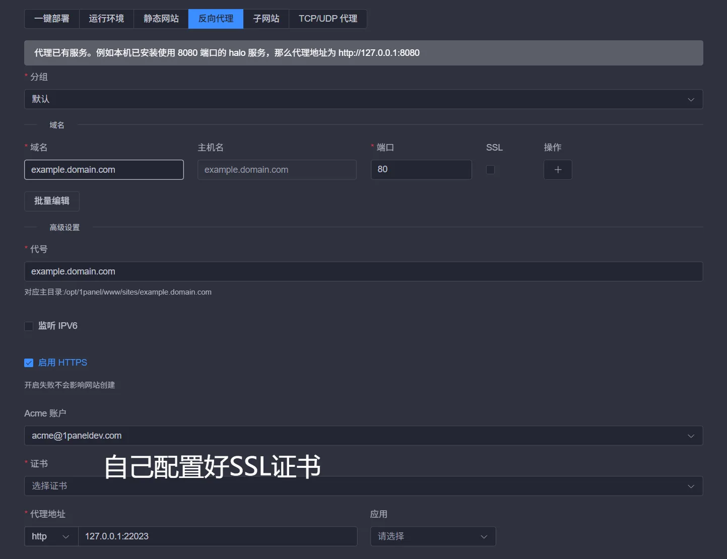 1panel反向代理配置截图
